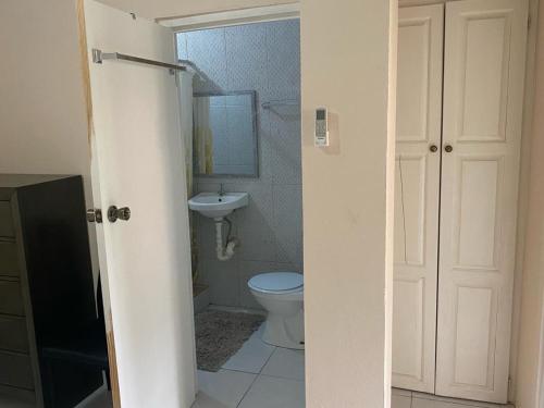 a bathroom with a toilet and a sink at Green Flash Apartments in Lance aux Épines