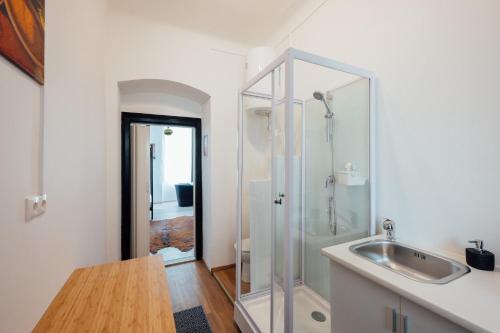 ein Bad mit einer Dusche und einem Waschbecken in der Unterkunft The Orient Express No.22 in Wien
