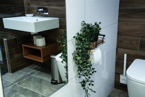 ein Badezimmer mit einem Waschbecken und Pflanzen an der Wand in der Unterkunft Stunning Annex Apartment pool steam room and Gym in Ossett