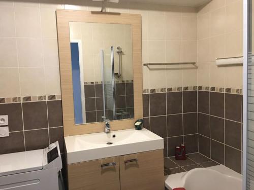 une salle de bain avec un lavabo et un miroir dans l'établissement Appartement centre-ville, à Annecy