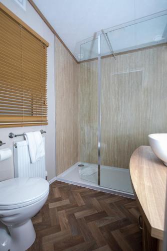 a bathroom with a toilet and a sink and a shower at Hot Tub Lodge 26 Cameron, St Andrews in St. Andrews