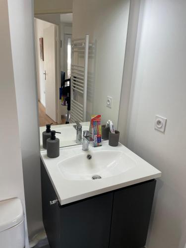 une salle de bain avec un lavabo blanc et un miroir dans l'établissement Appartement Cosy proche PARIS CDG parking, au Blanc-Mesnil