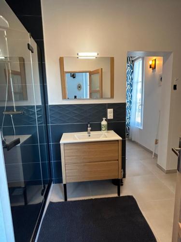 une salle de bain avec un lavabo et une douche avec un miroir dans l'établissement Appartement Cote des Isles, à Barneville-Carteret