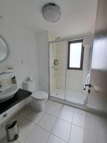 a bathroom with a shower and a toilet and a sink at Spacious family friendly 3-Bed Villa Dunas Resort in Santa Maria