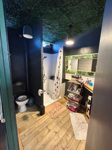 ein Bad mit WC in einem Zimmer in der Unterkunft Les Sources in Avignon
