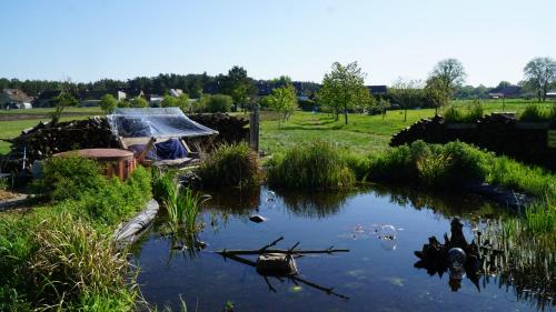 a pond in a field with a bird in the water at Auszeit inmitten der Natur - its a kind of magic in Freienthal
