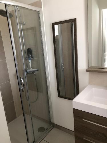 a bathroom with a shower and a sink at jolie maison de bourg in Arvert