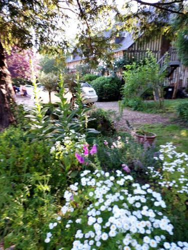 un giardino con fiori bianchi e viola in un cortile di La CHARETTERIE Gites du Manoir de La Porte a Les Authieux-sur-Calonne
