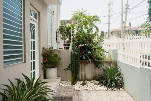 a porch with plants and flowers on a house at Casa Magdalena in San Juan