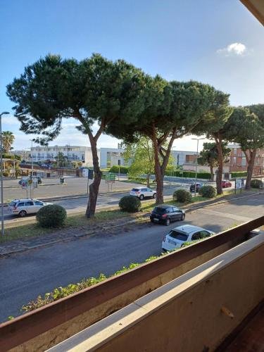 uma vista a partir de uma varanda de uma rua com uma árvore em gaia em Terracina