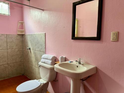 a bathroom with a sink and a toilet and a mirror at Cabinas Las Palmas del Sol in Fortuna
