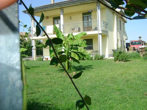 a plant in a yard in front of a house at B&B Lattemiele in Fontanellato