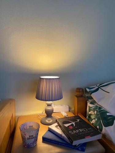 a bedside table with a lamp and a book on it at Apartman Sara in Pluzine
