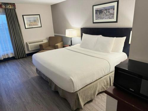 a hotel room with a large bed and a chair at Divya Sutra Plaza and Conference Centre Calgary Airport in Calgary