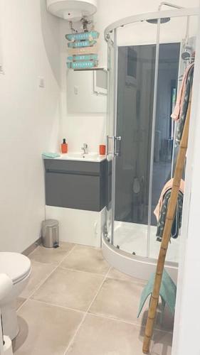 une salle de bain avec une douche, des toilettes et un lavabo dans l'établissement Studio à Sollies Pont, à Solliès-Pont