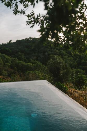 a pool of water with trees in the background at The ONE - Country House in Grândola