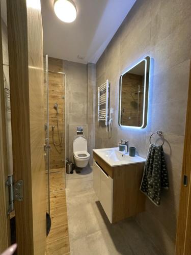 a bathroom with a toilet and a sink and a shower at Apartman 103 in Vrdnik