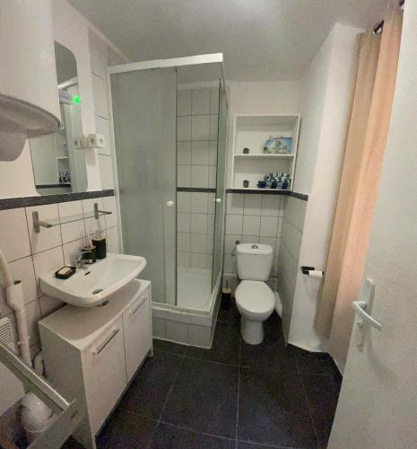 a bathroom with a shower and a toilet and a sink at [ Hébergement partagé à proximité de la place du marché à Bastia ] in Bastia