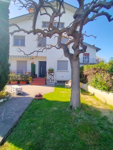 a tree in the yard of a house at La Magnolia - Fano in Fano