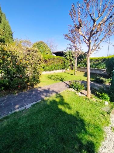 a green yard with a tree and a sidewalk at La Magnolia - Fano in Fano