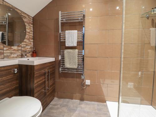a bathroom with a toilet and a glass shower at Arthurs Cottage in Tywyn