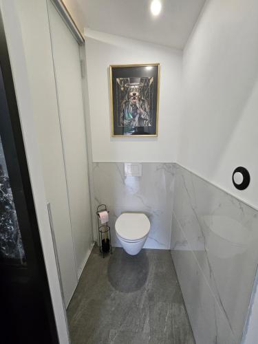 a bathroom with a toilet and a picture on the wall at hébergement privée Jaccuzzi en supplément in Saint-Clair-du-Rhône
