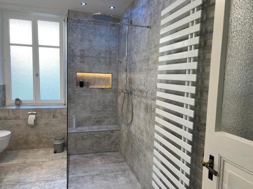 ein Bad mit einer Dusche und einer Glastür in der Unterkunft CityDreams mit Altbau Flair in Lörrach