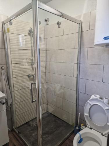 a bathroom with a shower with a toilet at Cabanute Maya Transalpina in Săsciori