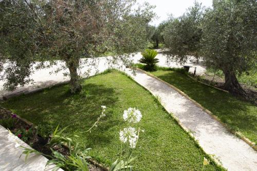 a garden with white flowers and trees and a sidewalk at Casa Raineri in Paceco