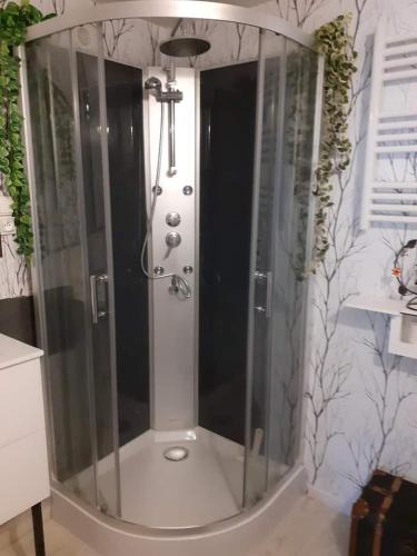 une douche avec une porte vitrée dans une salle de bain dans l'établissement Les quatres saisons de isa, à Dole