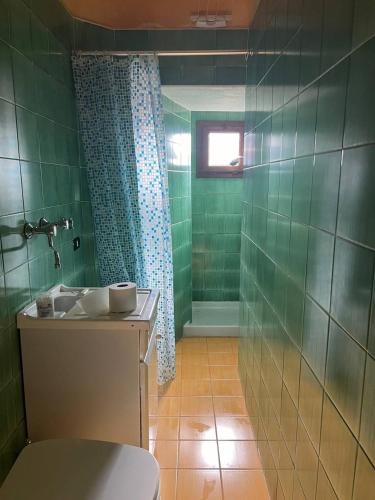 a green bathroom with a toilet and a shower at Casa Manzo in Montemurro