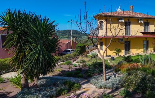 a house with a palm tree in a garden at Il Castello di Modolo in Modolo