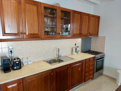 a kitchen with wooden cabinets and a sink at Villa Tramonto in Lévki