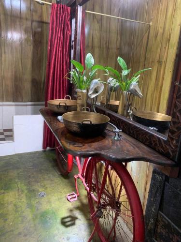 Una bicicleta con cuatro ollas y plantas. en Casa heysol en Bahía de Caráquez