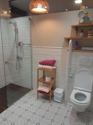 een badkamer met een douche en een toilet bij CASA RURAL AINGERU NATURALEZA Y MONTAÑA in Oñate