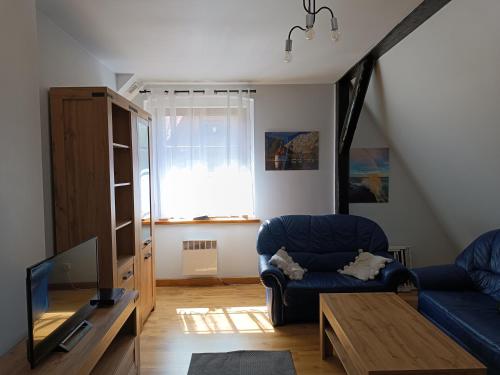 a living room with a blue couch and a tv at Strażnica Pod Lasem in Lasowka