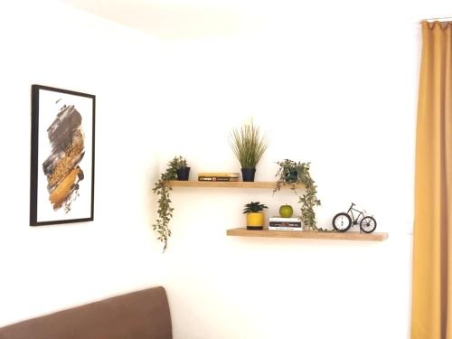 a room with a white wall with two wooden shelves at Studio apartman na plaži in Rafailovici