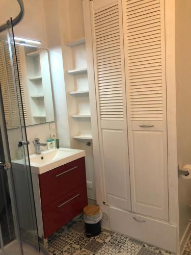 ein Bad mit einem Waschbecken, einer Dusche und einem Spiegel in der Unterkunft Studio tout confort apercu mer in Dinard