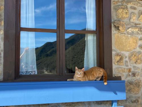 Apartamentos Calm & Nature en Liebana في Cabezón de Liébana: وجود قطةٍ برتقالية على حافة النافذة