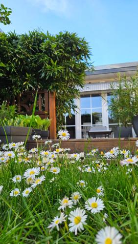 a garden with white flowers in front of a house at Haus Tina in Mölln