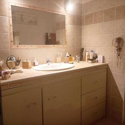 une salle de bain avec un lavabo et un miroir dans l'établissement Villa en Provence piscine au calme entre Arles Nîmes Avignon, à Beaucaire