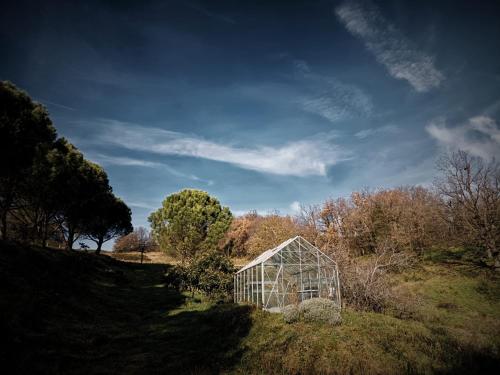 a small greenhouse in a field with trees at la maison bleue in Ponsas