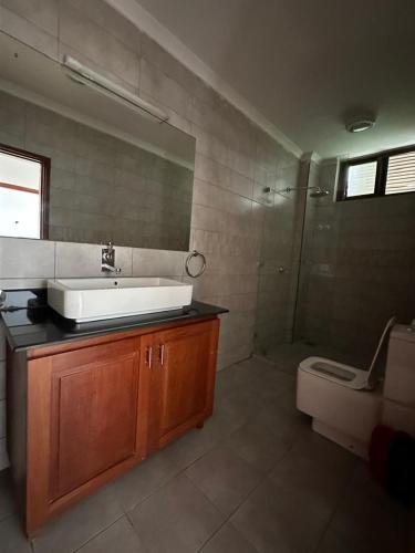 a bathroom with a sink and a shower and a toilet at Secluded-Loft-2 BEDROOM-2-Bath in Dar es Salaam