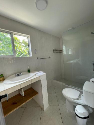 uma casa de banho com um lavatório, um WC e um chuveiro em HUMMINGBIRD CABARETE em Cabarete