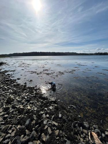 a large body of water with rocks in the water at The Round House in Strangford