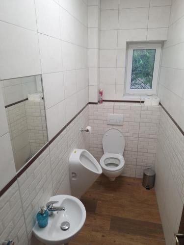 a bathroom with a toilet and a sink at Rodinná izba Stummer in Topoľčany