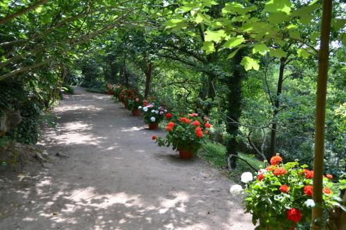 a row of flowers on a path in a garden at Château de Peufeilhoux in Vallon-en-Sully