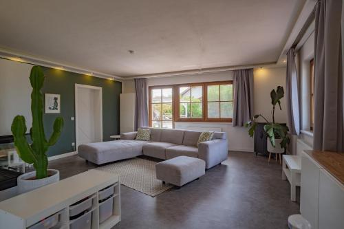 salon z kanapą i kaktusem w obiekcie Villa mit Pool und Garten w mieście Thalheim bei Wels