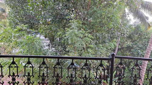 uma cerca de ferro forjado com árvores ao fundo em Peaceful homes em Thrissur