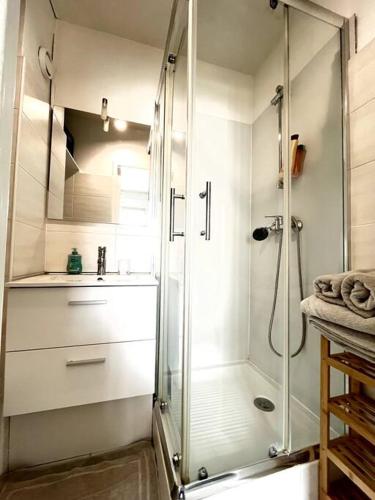 une salle de bain avec douche et lavabo dans l'établissement Studio Lumière du Centre - Parking - Romans, à Romans-sur-Isère